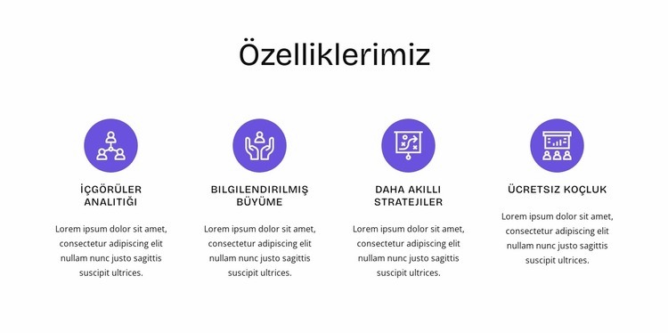 İK özellikleri Bir Sayfa Şablonu