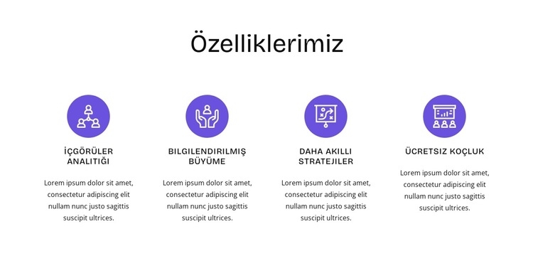 İK özellikleri Web Sitesi Şablonu