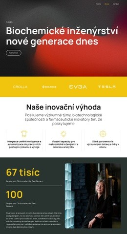 Řešení Prostřednictvím Chytré Vědy – Návrh Webových Stránek Šablon