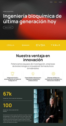 Soluciones A Través De La Ciencia Inteligente - Plantilla De Sitio