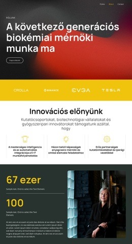 Megoldások Az Intelligens Tudomány Segítségével - Webhelysablon