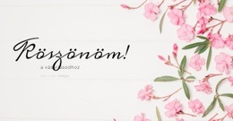 Szerelem Egy Képeslapon – Prémium Sablon