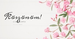 Szerelem Egy Képeslapon