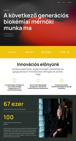 Webhely Kialakítása A(Z) Megoldások Az Intelligens Tudomány Segítségével Számára