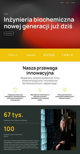 Projekt Witryny Dla Rozwiązania Dzięki Inteligentnej Nauce