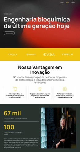Soluções Por Meio Da Ciência Inteligente - Variações De Layout