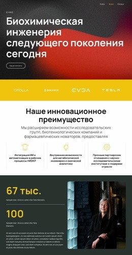 Эксклюзивный Макет Веб-Сайта Для Решения Посредством Интеллектуальной Науки