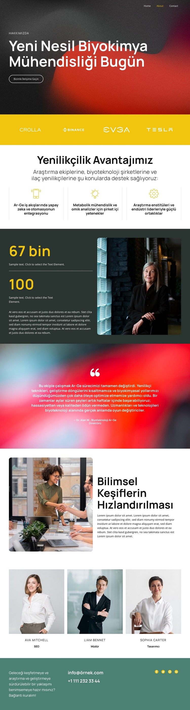 Akıllı Bilimle Çözümler CSS Şablonu