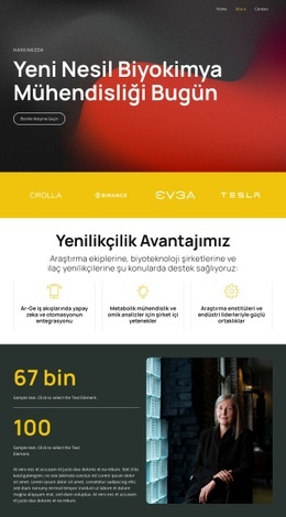 Akıllı Bilimle Çözümler - Şablonlar Web Sitesi Tasarımı