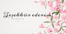 Bir Postkartta Aşk Için En Iyi WordPress Teması