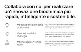 Strumenti Avanzati, Scoperta Rapida - Modello Premium