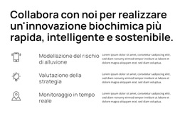 Strumenti Avanzati, Scoperta Rapida - Tema WordPress Personalizzato