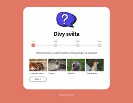 Kvíz O Geografii