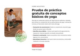 Prueba De Práctica Gratuita De Conceptos Básicos De Yoga