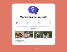 Cuestionario De Geografía - Mejor Página De Destino