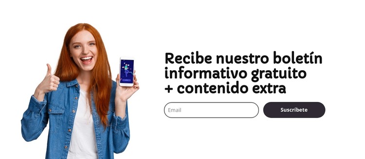 Boletín informativo gratuito por correo electrónico Plantilla CSS