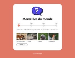 Quiz De Géographie #One-Page-Template-Fr-Seo-One-Item-Suffix