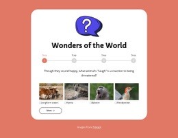 Geography quiz - Html Code Example by Nicepage