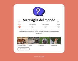 Quiz Di Geografia #Website-Design-It-Seo-One-Item-Suffix