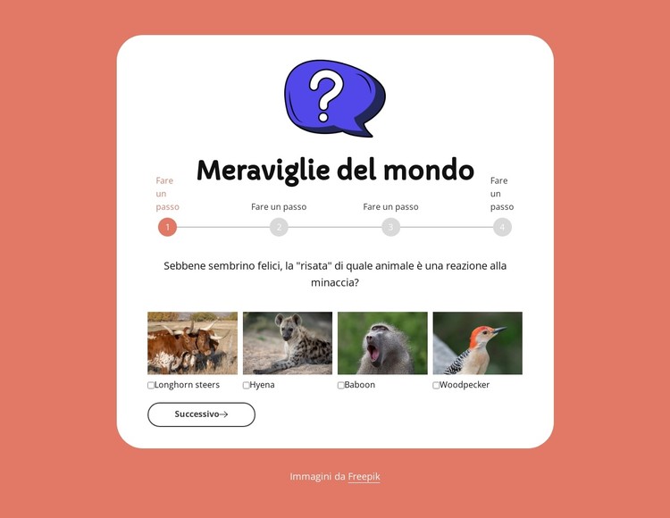 Quiz di geografia Modello CSS