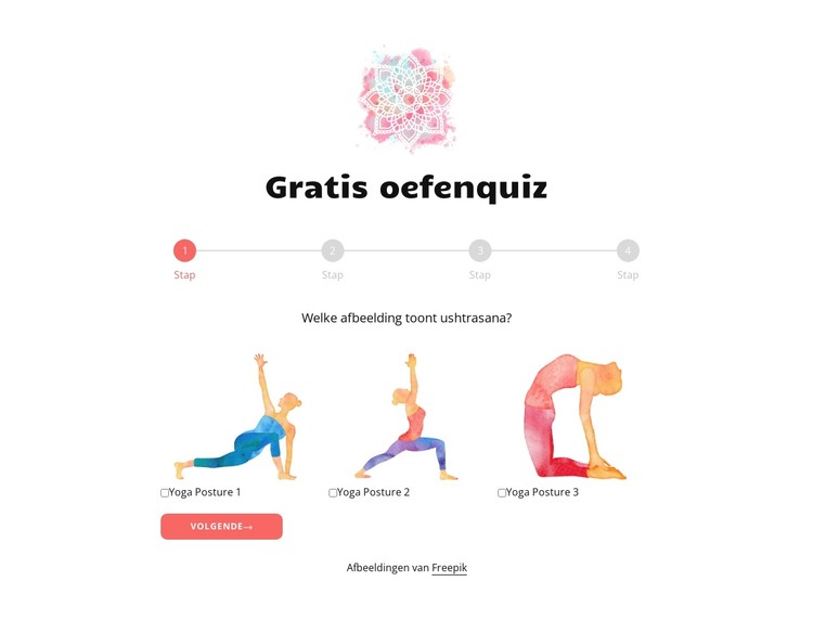 Gratis oefenquiz CSS-sjabloon