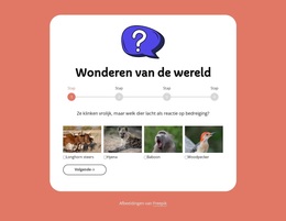 Aardrijkskundequiz WordPress-Thema