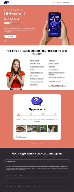 Играйте в веселые викторины WordPress темы