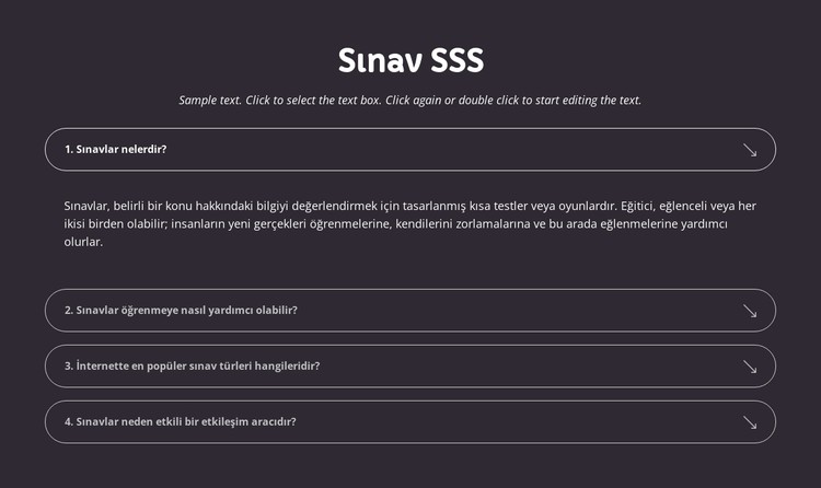 Sınav SSS CSS Şablonu