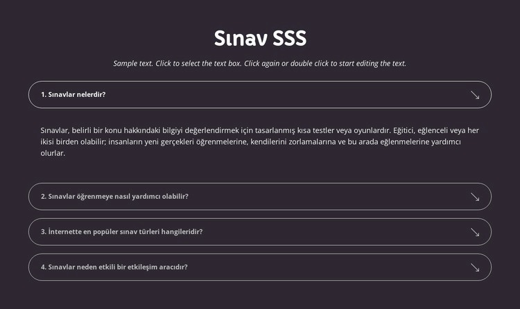 Sınav SSS Şablon