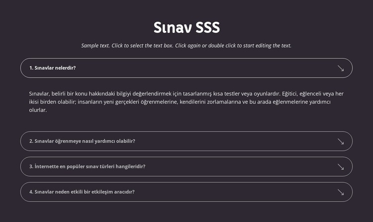 Sınav SSS Web Sitesi Şablonu