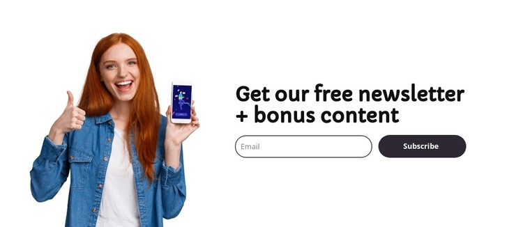 Free email newsletter WordPress Theme