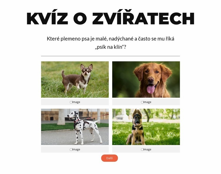 Čas na rychlý kvíz! Šablona HTML