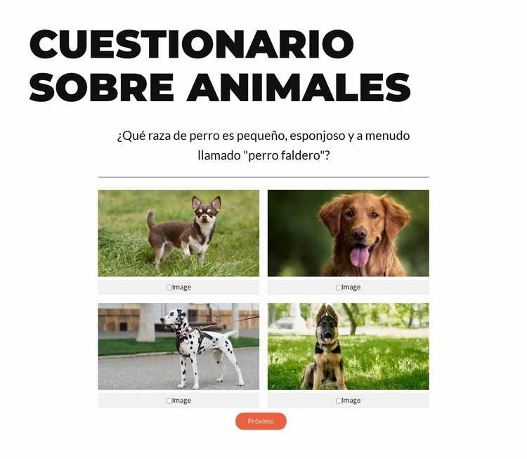 ¡Hora de una prueba rápida! Plantilla de una página