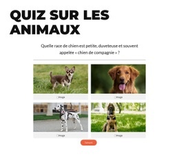 C'Est L'Heure Du Quiz Rapide !