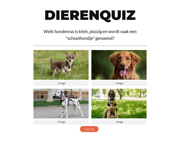 Tijd voor een snelle quiz! CSS-sjabloon