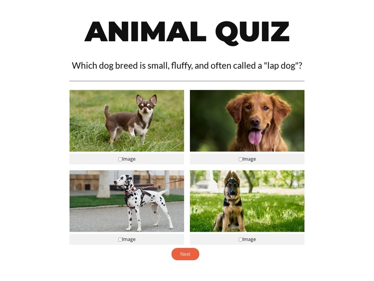 Quick Quiz Time! One Page Template