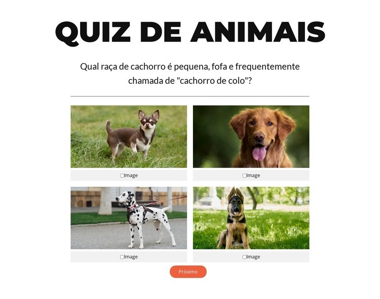 Hora do teste rápido! Landing Page