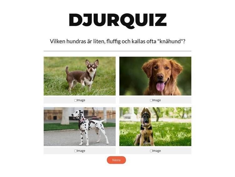 Snabb frågesport! Mall