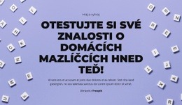 Připravte Se, Pozor, Hádejte – Šablona Webové Stránky HTML