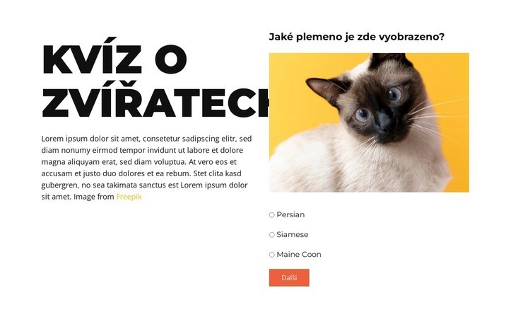 Zábavná výzva před námi Šablona HTML