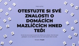 Připravte Se, Pozor, Hádejte – Profesionální Šablona Webu