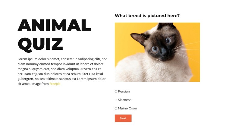 Fun Challenge Ahead CSS Template