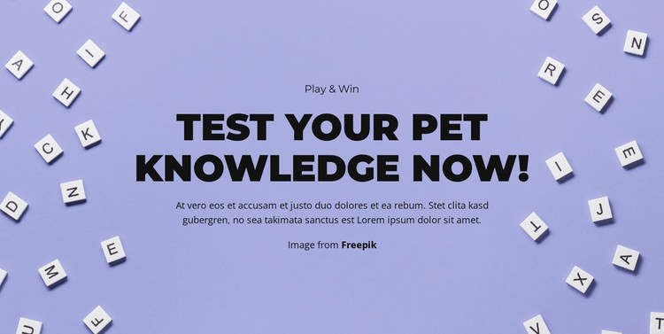 Ready, Set, Guess CSS Template