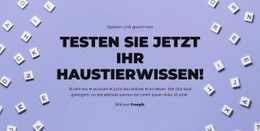 Auf Die Plätze, Fertig, Raten Responsive CSS-Vorlage