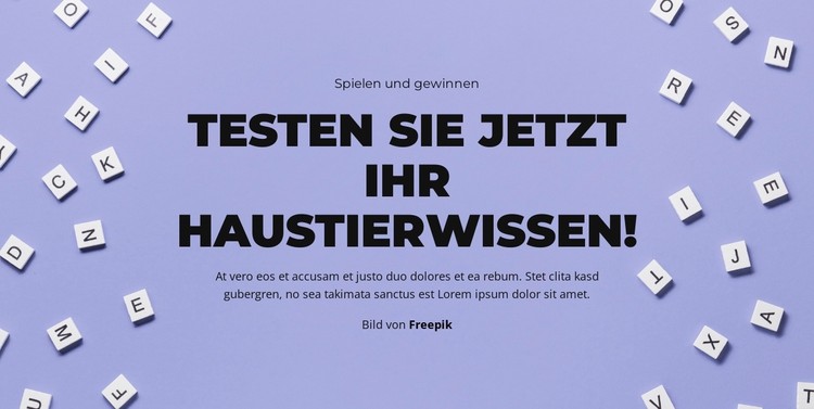 Auf die Plätze, fertig, raten CSS-Vorlage