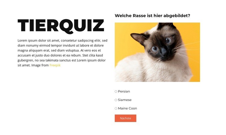 Eine lustige Herausforderung steht bevor HTML5-Vorlage