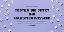 Auf Die Plätze, Fertig, Raten - Schlichtes Design