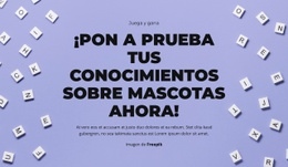 Preparados, Listos, ¡Adivinen! - Diseño Sencillo