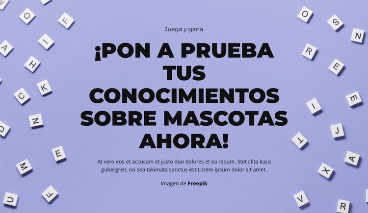 Preparados, listos, ¡adivinen! Maqueta de sitio web