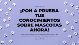 Preparados, Listos, ¡Adivinen! #Landing-Page-Es-Seo-One-Item-Suffix